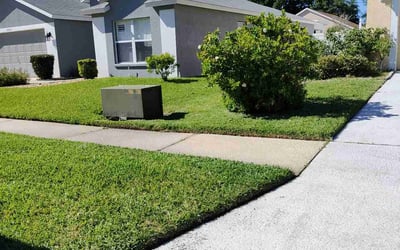 Photo of Phil E.'s yard after getting lawn care in El Cerrito, CA