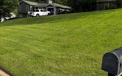 Photo of Cole A.'s yard after getting lawn care in Panama City, FL