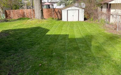 Photo of Priscilla S.'s yard after getting lawn care in Highland, MI