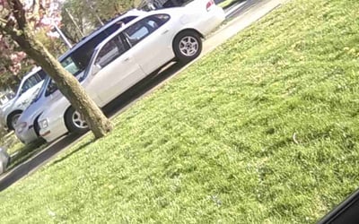 Photo of Jessica C.'s yard after getting lawn care in Oregon, OH