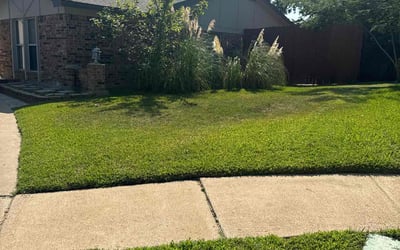 Photo of Gracelyn R.'s yard after getting lawn care in Bedford, TX