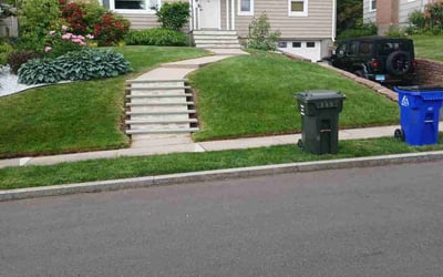 Photo of Esmie B.'s yard after getting lawn care in Mableton, GA