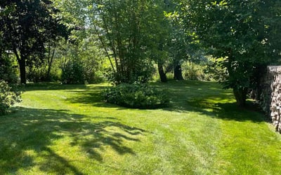Photo of Matt C.'s yard after getting lawn care in Batavia, IL