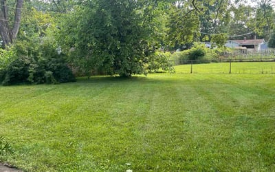 Photo of Kristie A.'s yard after getting lawn care in Saginaw, TX
