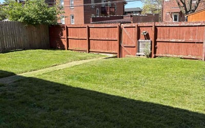 Photo of Lauren M.'s yard after getting lawn care in St. Louis, MO