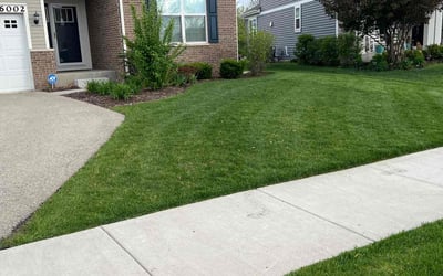 Photo of Karinne H.'s yard after getting lawn care in Alsip, IL