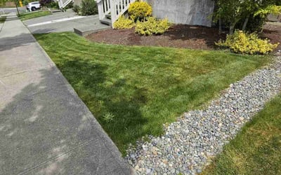 Photo of Maria E.'s yard after getting lawn care in Jamaica, NY