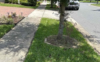 Photo of Adam D.'s yard after getting lawn care in Middletown, RI