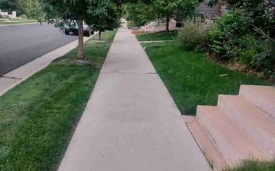 Photo of Rita E.'s yard after getting lawn care in Greenwood Village, CO