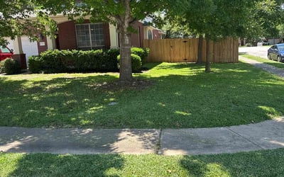 Photo of Ron J.'s yard after getting lawn care in San Rafael, CA