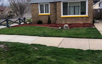 Photo of Americole S.'s yard after getting lawn care in Houston, TX