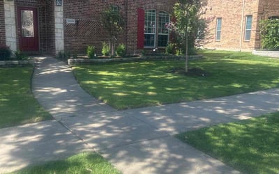 Photo of Robert C.'s yard after getting lawn care in Loma Linda, CA