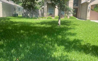 Photo of Melanie J.'s yard after getting lawn care in Montgomery, TX