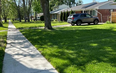 Photo of Karen W.'s yard after getting lawn care in Newark, NJ