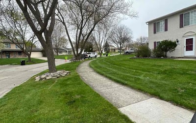 Photo of Lisa T.'s yard after getting lawn care in Highland, MI