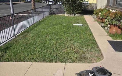 Photo of Barb R.'s yard after getting lawn care in Valley Center, CA