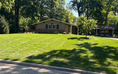 Photo of Jennifer D.'s yard after getting lawn care in Fox Lake, IL