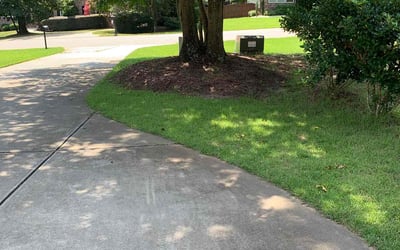 Photo of Daniel D.'s yard after getting lawn care in Wake Forest, NC