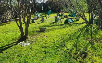 Photo of Charmaine B.'s yard after getting lawn care in Spring Lake, NC