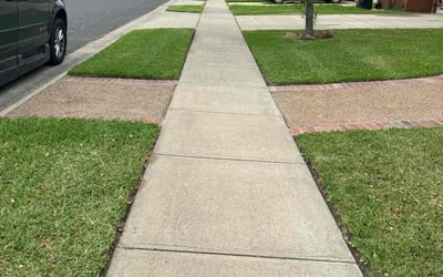 Photo of Sharon B.'s yard after getting lawn care in Robstown, TX