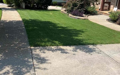 Photo of Morgan U.'s yard after getting lawn care in Altamonte Springs, FL