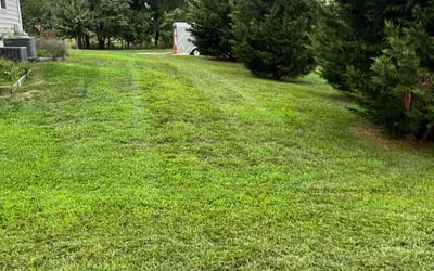 Photo of Donald J.'s yard after getting lawn care in Brooklyn, MD