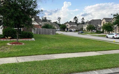 Photo of Steven P.'s yard after getting lawn care in Freeport, TX