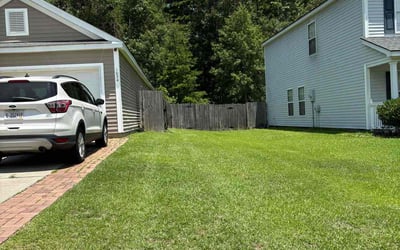 Photo of Michael M.'s yard after getting lawn care in Ladson, SC