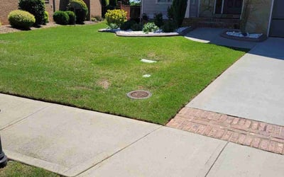 Photo of Tammy S.'s yard after getting lawn care in Belton, SC