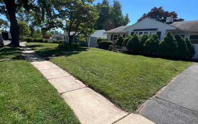 Photo of Ayush D.'s yard after getting lawn care in Rockville, MD