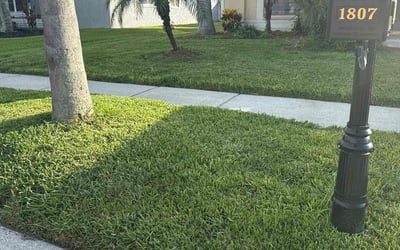 Photo of Dominicue W.'s yard after getting lawn care in White Lake, MI