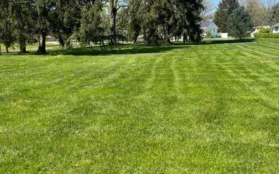 Photo of Gurges A.'s yard after getting lawn care in Heath, OH