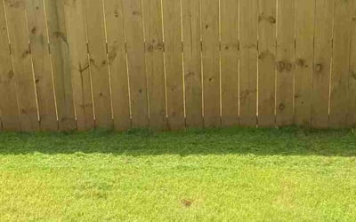 Photo of Daniel M.'s yard after getting lawn care in Columbia, TN