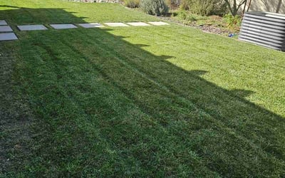 Photo of Elizabeth K.'s yard after getting lawn care in Indio, CA