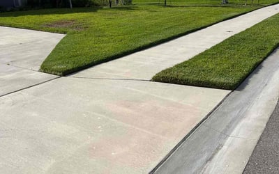 Photo of Lakeisha J.'s yard after getting lawn care in Dedham, MA