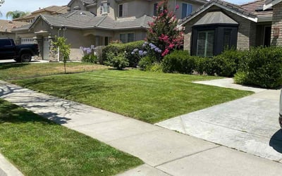 Photo of Sharon H.'s yard after getting tree care in Hanahan, SC