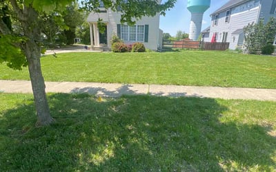 Photo of Leslie H.'s yard after getting lawn care in Perrysburg, OH