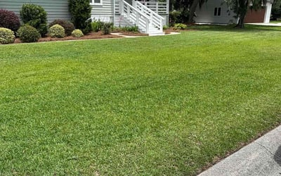 Photo of Lachlan A.'s yard after getting lawn care in Miamisburg, OH