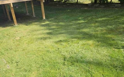 Photo of Alexa S.'s yard after getting lawn care in Tunkhannock, PA