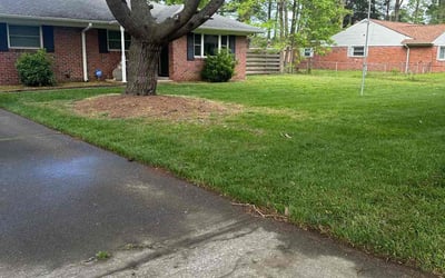 Photo of Jennifer C.'s yard after getting lawn care in Portsmouth, NH