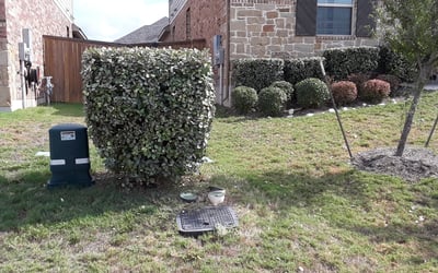 Photo of Penelope B.'s yard after getting lawn care in Harrisburg, PA
