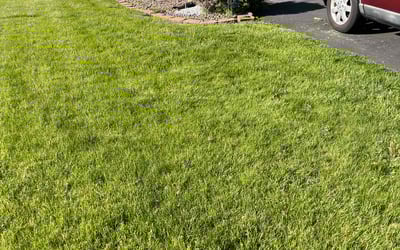 Photo of Martha M.'s yard after getting lawn care in Harrisburg, PA