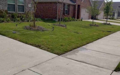 Photo of Laion L.'s yard after getting lawn care in Princeton, TX