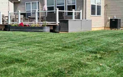 Photo of Lauran M.'s yard after getting lawn care in Batavia, OH