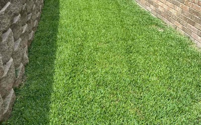 Photo of Harrison Z.'s yard after getting lawn care in Greenbrier, TN
