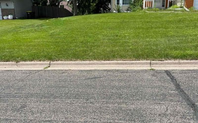 Photo of Karen B.'s yard after getting lawn care in Burnsville, MN