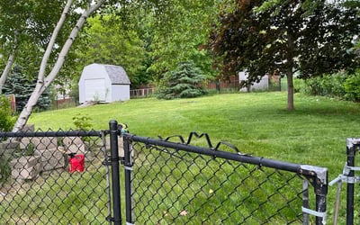 Photo of Sam D.'s yard after getting lawn care in Rosemount, MN