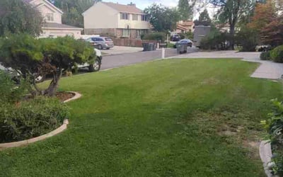 Photo of John D.'s yard after getting lawn care in Louisville, OH