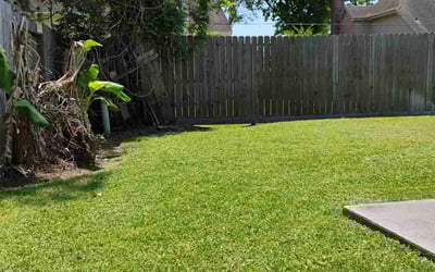Photo of Yoko I.'s yard after getting lawn care in Spring, TX