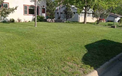 Photo of Thomas S.'s yard after getting lawn care in Brooklyn Center, MN